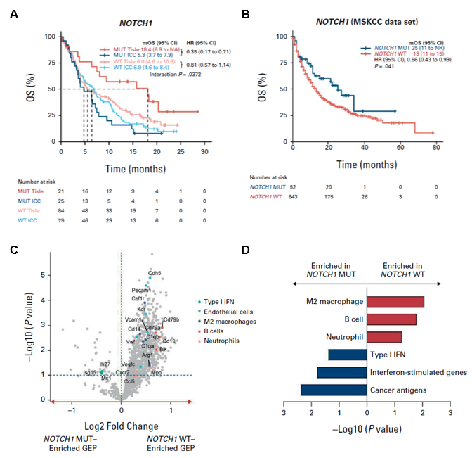 1744770196332310.png 1-2.png