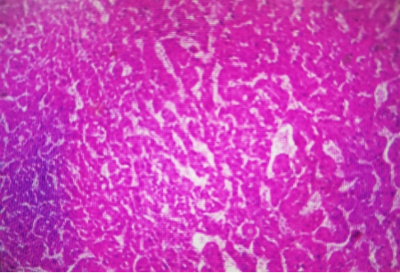 1744960167670483.png 1-3.png