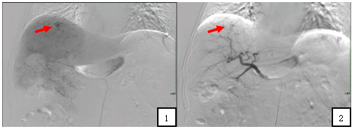 1744960239513027.png 1-5.png