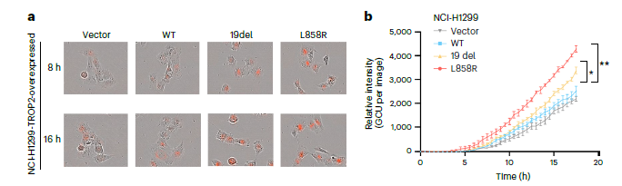 1745388464861070.png 2-4.png