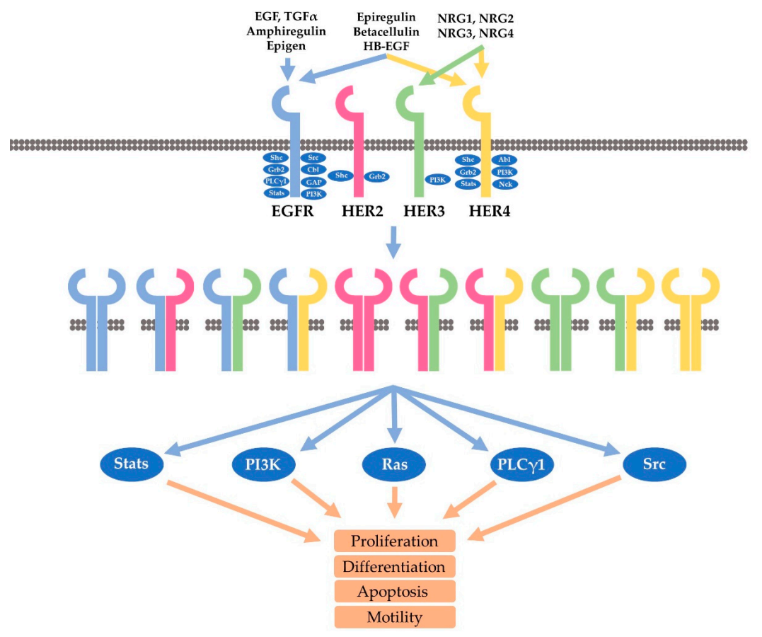 1745565155333382.png 1745565155333382.png