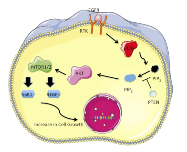 1745567206978132.png 1745567206978132.png