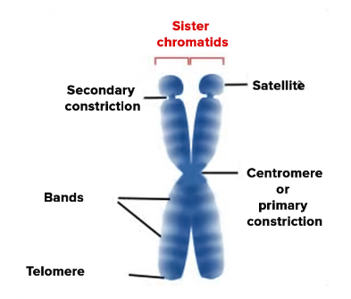 1745567347913525.png 1.png