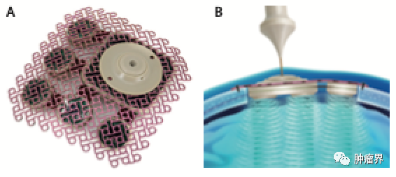 1745569250183467.png 1.png