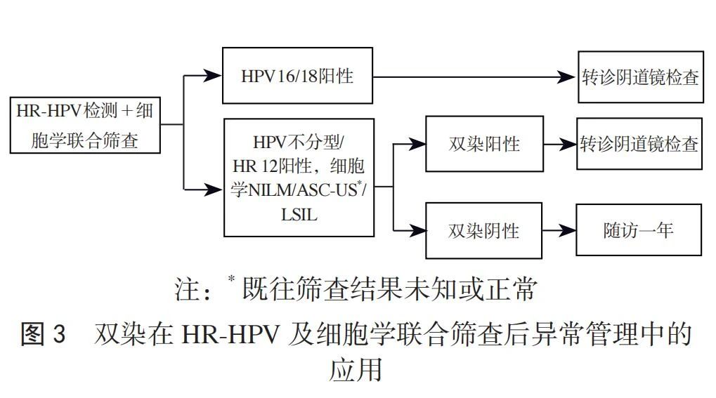 1745743809804394.jpg 3-4.jpg