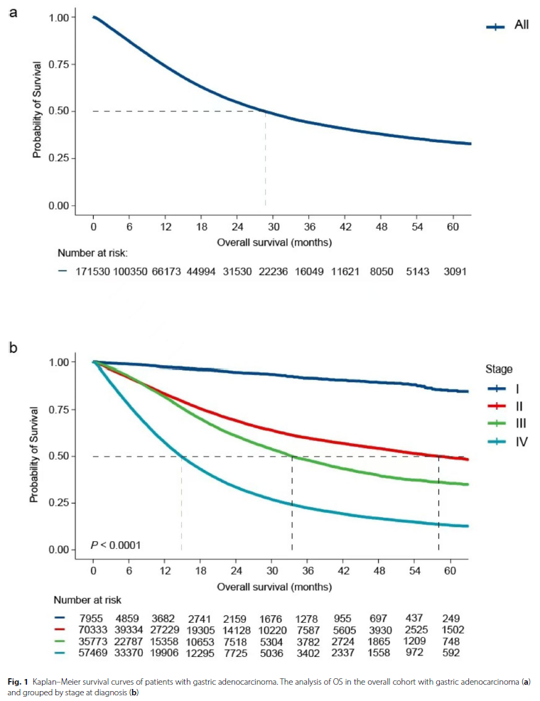 1745744764505320.png 1-6.png