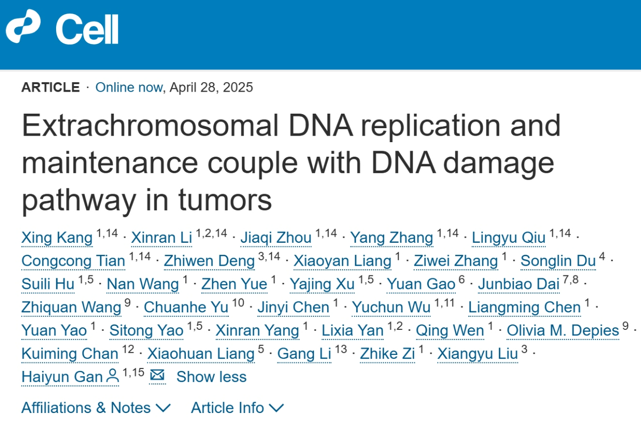 1745916854724573.png 2-1.png