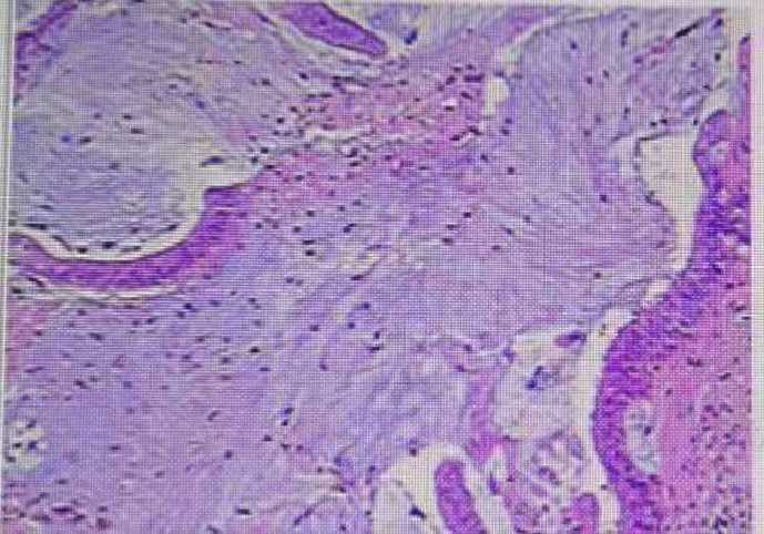 1746596974645464.png 1-4.png