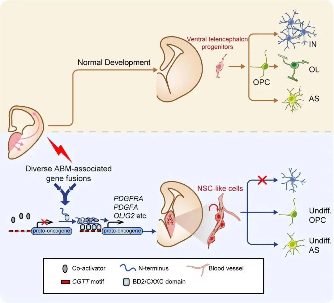 1747299948115423.jpg 1-2.jpg