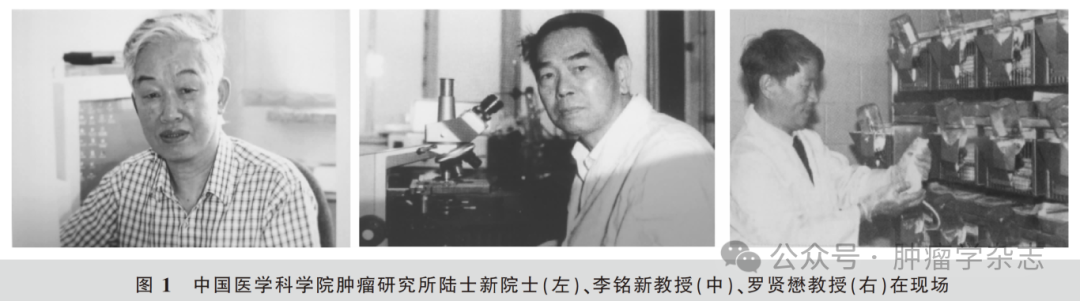 1747300260729659.png 3-1.png