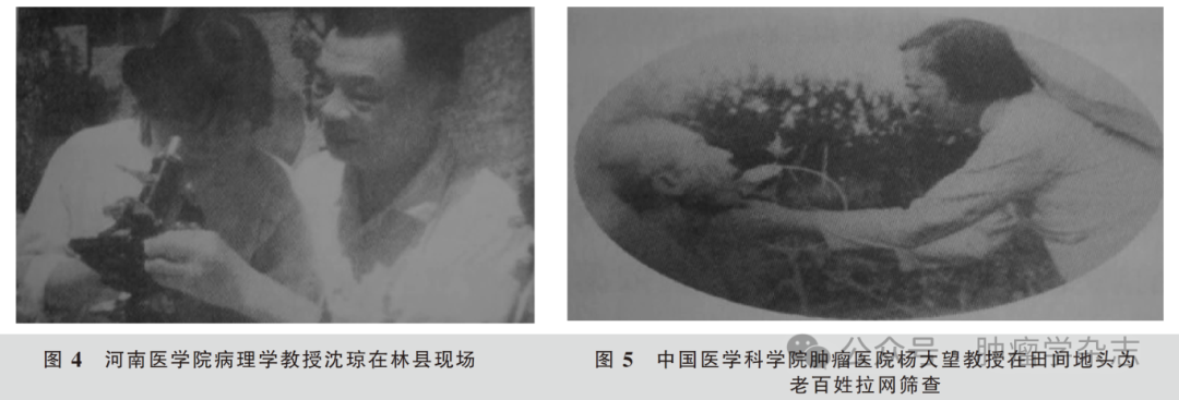 1747300274103122.png 3-3.png