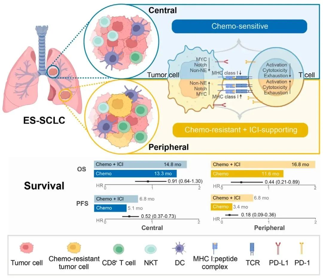 1747620997697371.jpg 1-2.jpg