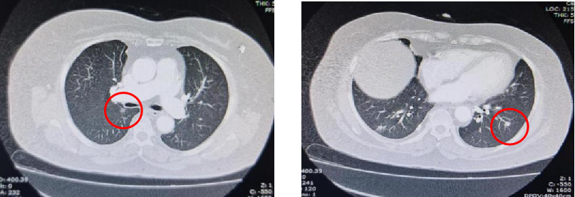 1747792184768398.png 1-5.png