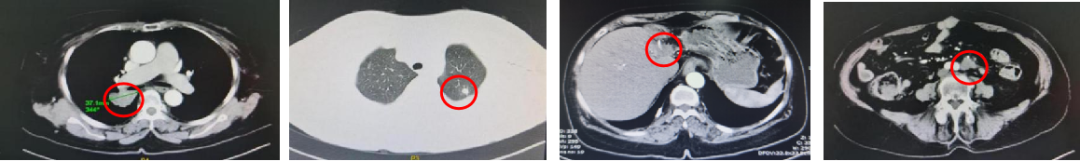 1747792292987411.png 1-11.png