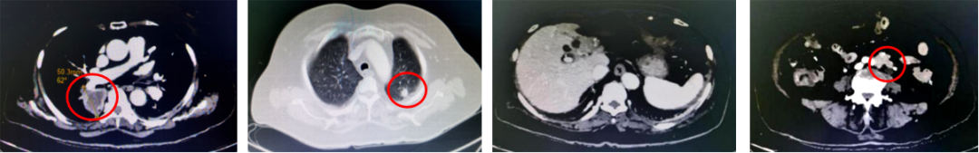 1747792337495313.png 1-17.png