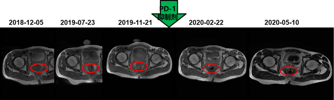 1747793427636036.png 1-11.png