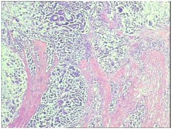 1747798958542244.png 1-5.png