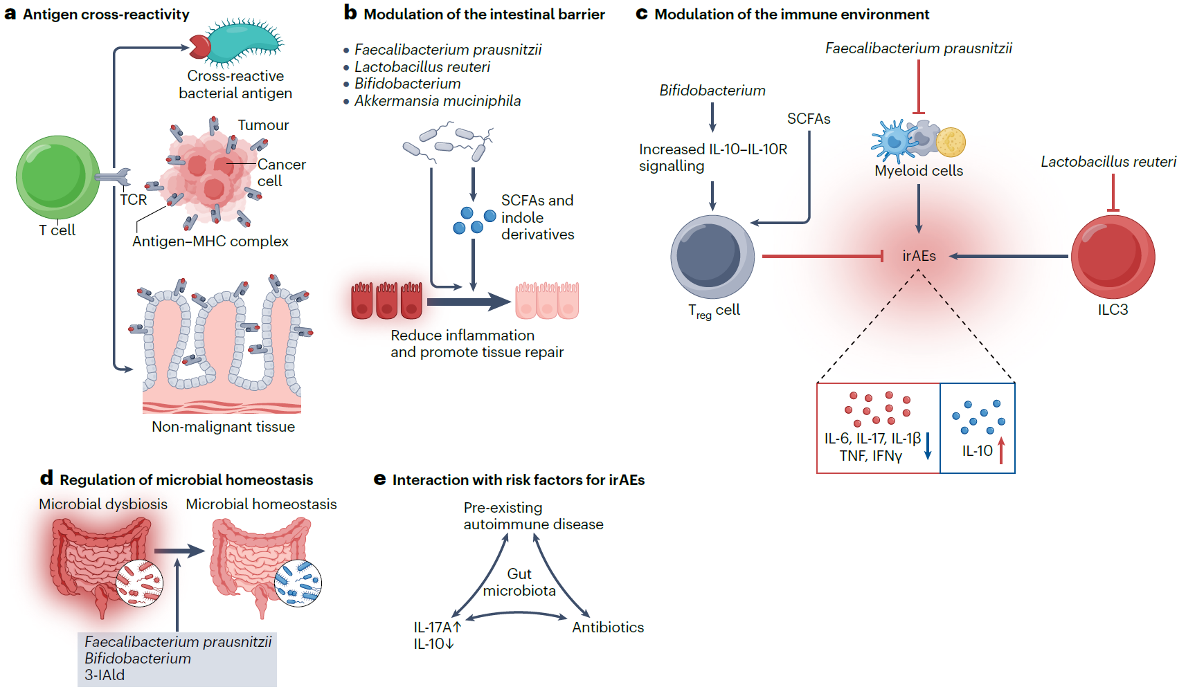 1747816741222056.png 1-4.png