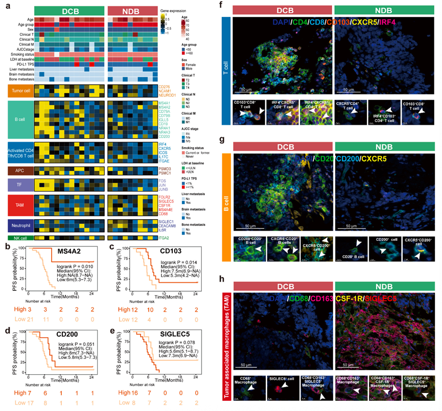 1747997262147778.png 1-3.png