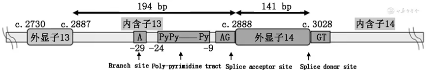 1748511208989419.png 3-1.png