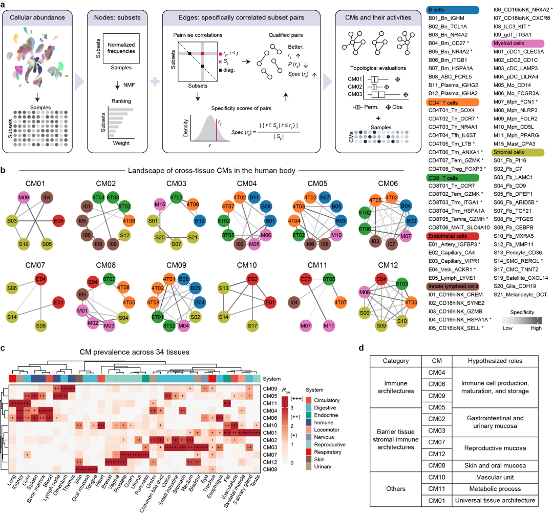 1748515877355121.png 1-2.png