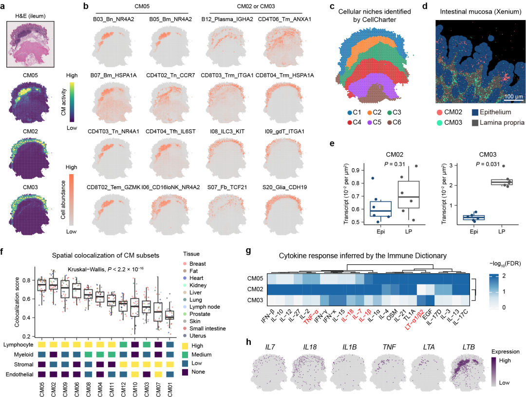 1748515883848000.png 1-3.png