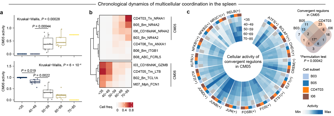 1748515889961110.png 1-4.png