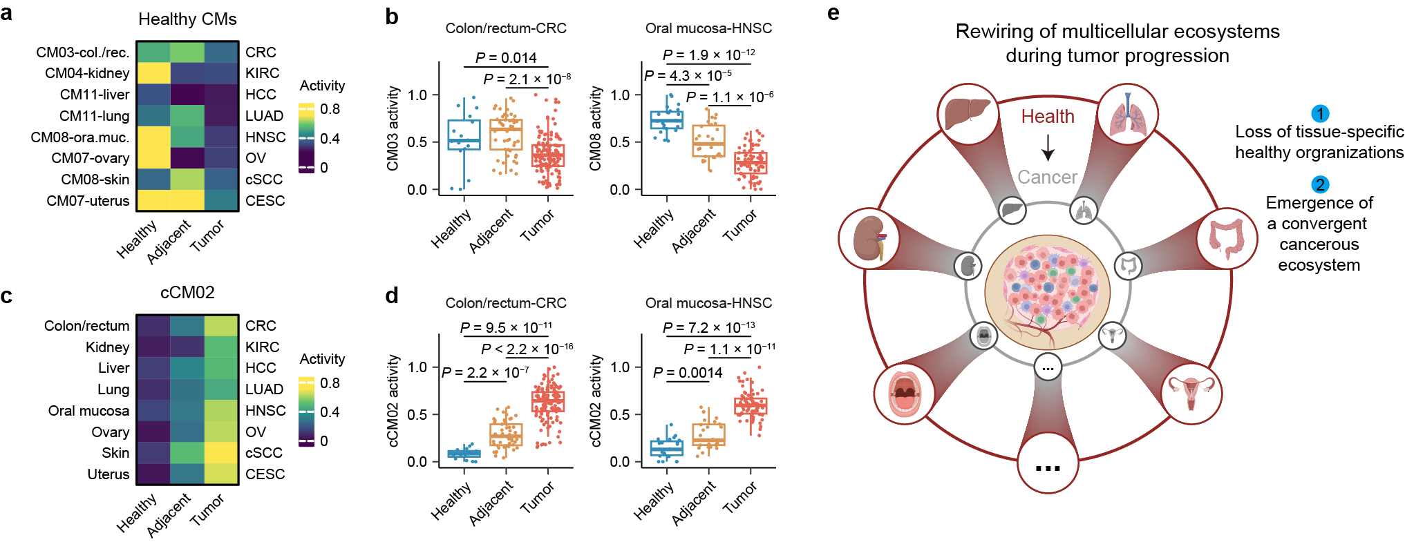 1748515896334788.png 1-5.png