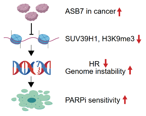 1748915887313087.png 1-3.png