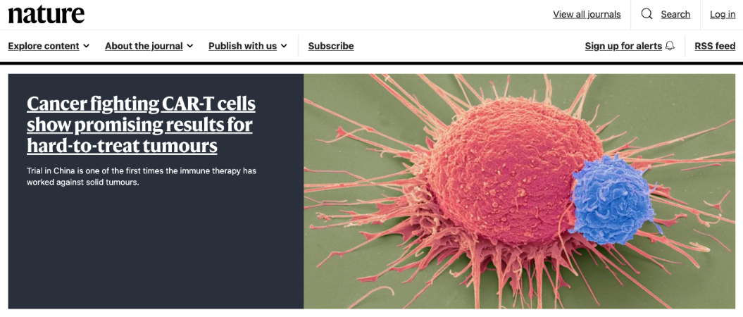 1749028715244284.png 2-1.png