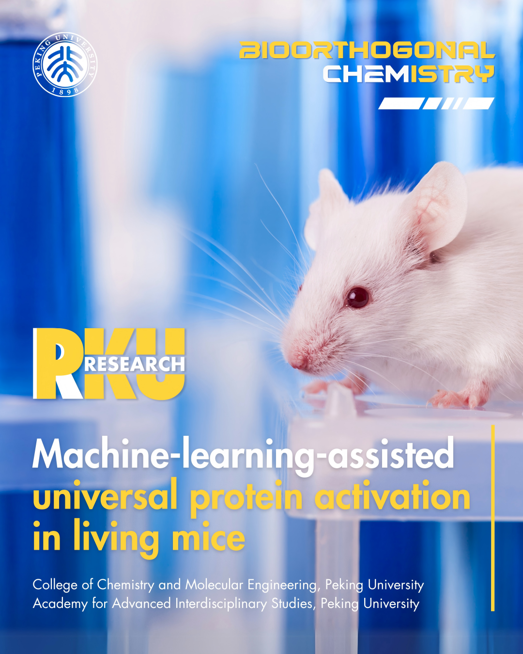 1749115467168494.png 1-1.png