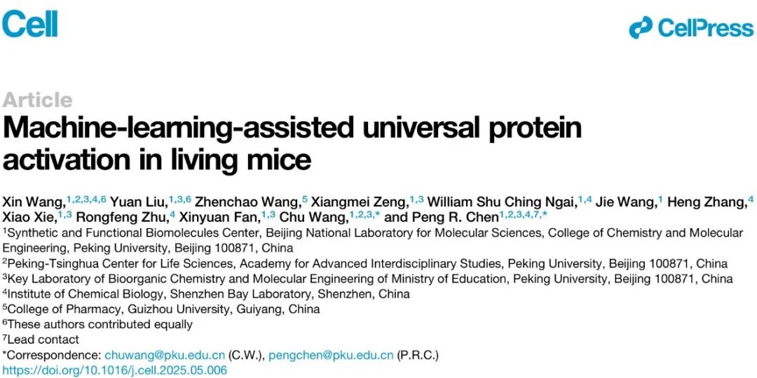 1749115482881156.jpg 1-2.jpg