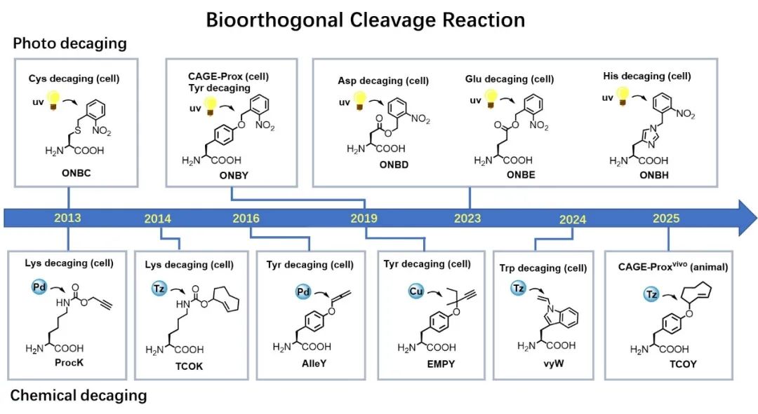 1749115505192179.jpg 1-3.jpg