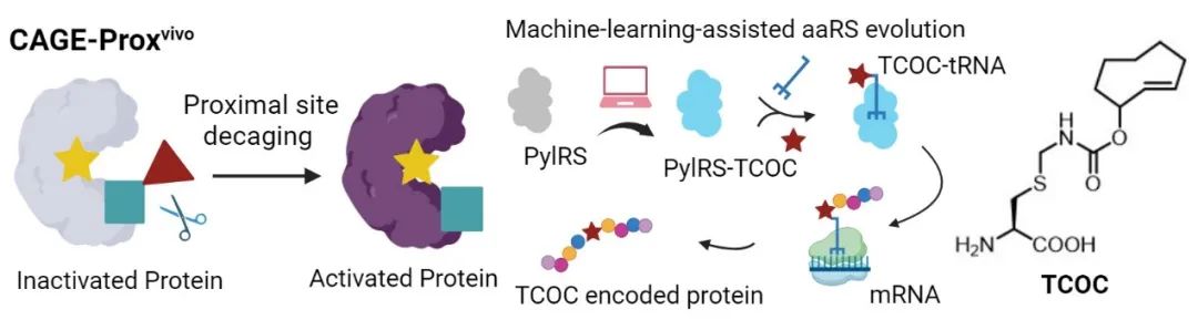 1749115543213528.jpg 1-6.jpg