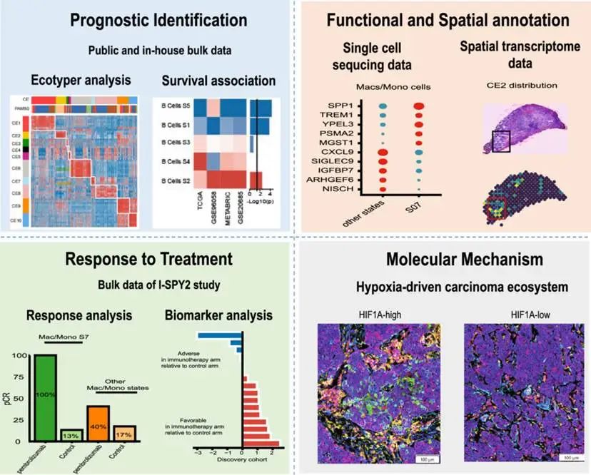 1749546153966748.jpg 2-2.jpg