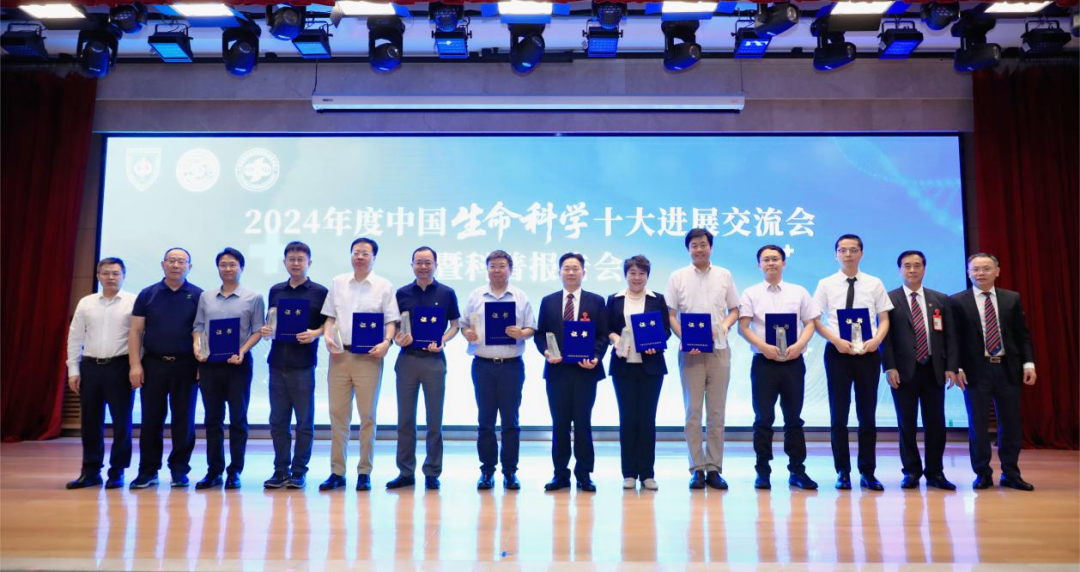 1750152451605180.png 2-1.png