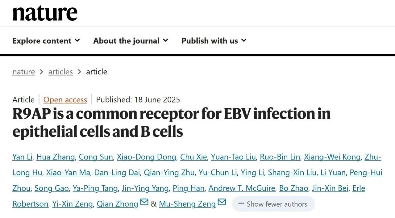 1750668350338759.jpg 1-3.jpg