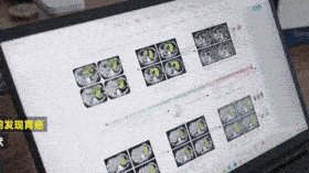 1750908563338471.gif 3-10.gif