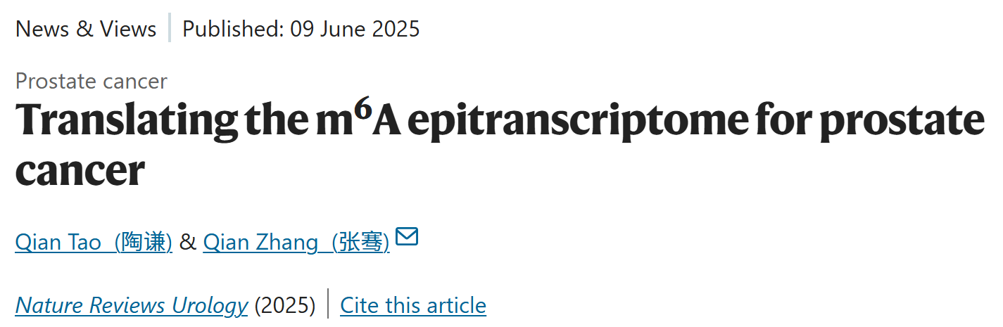 1750929591809902.png 2-1.png