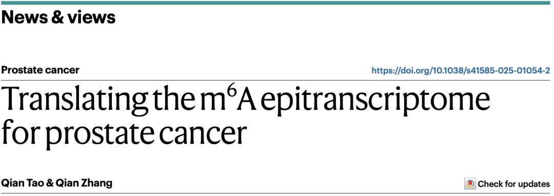 1750929612660961.png 2-2.png