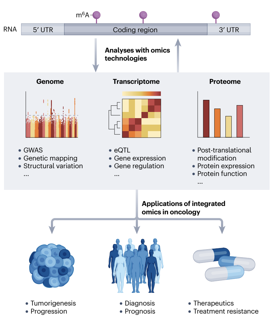 1750929620935292.png 2-3.png