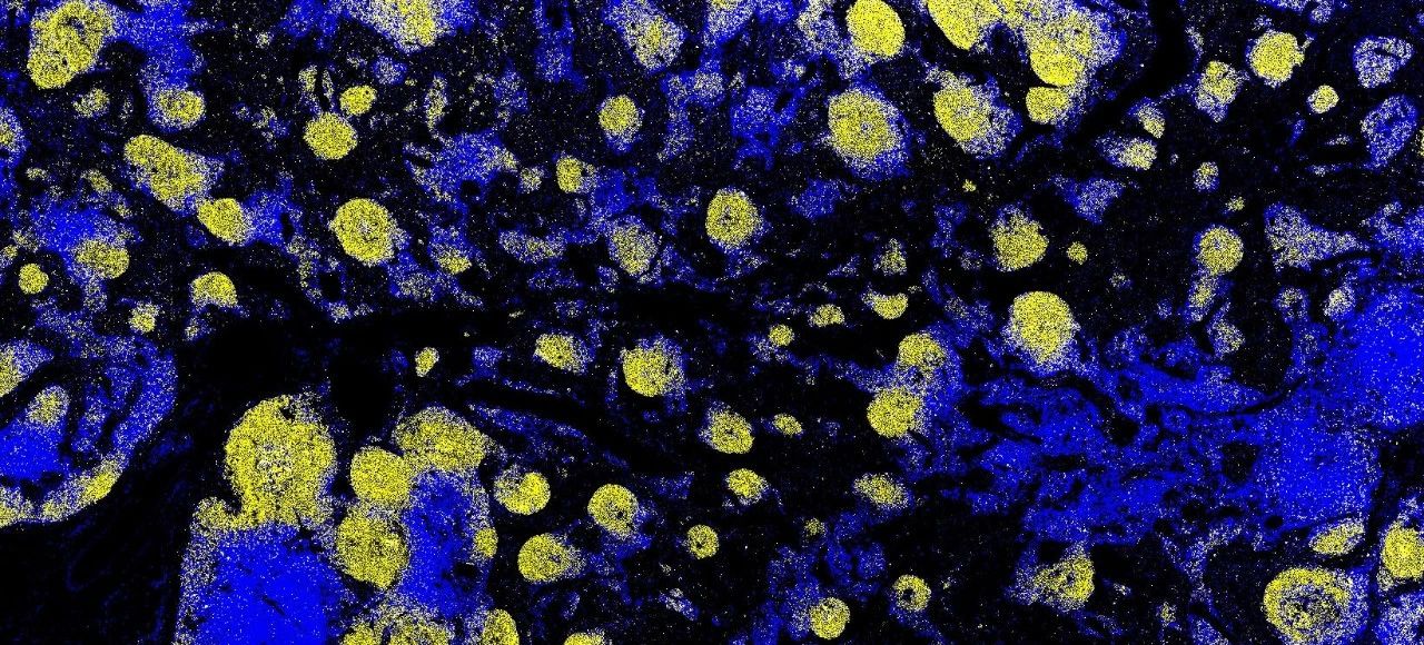 1751263705702934.jpg 1-1.jpg