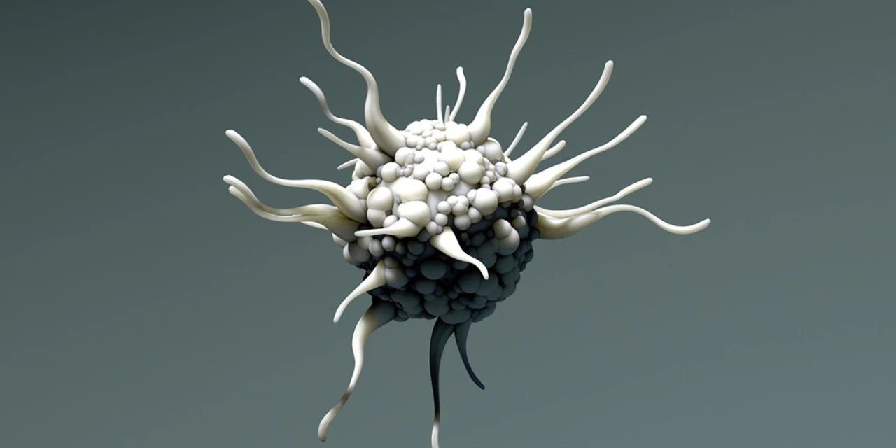 1751263712895963.jpg 1-2.jpg