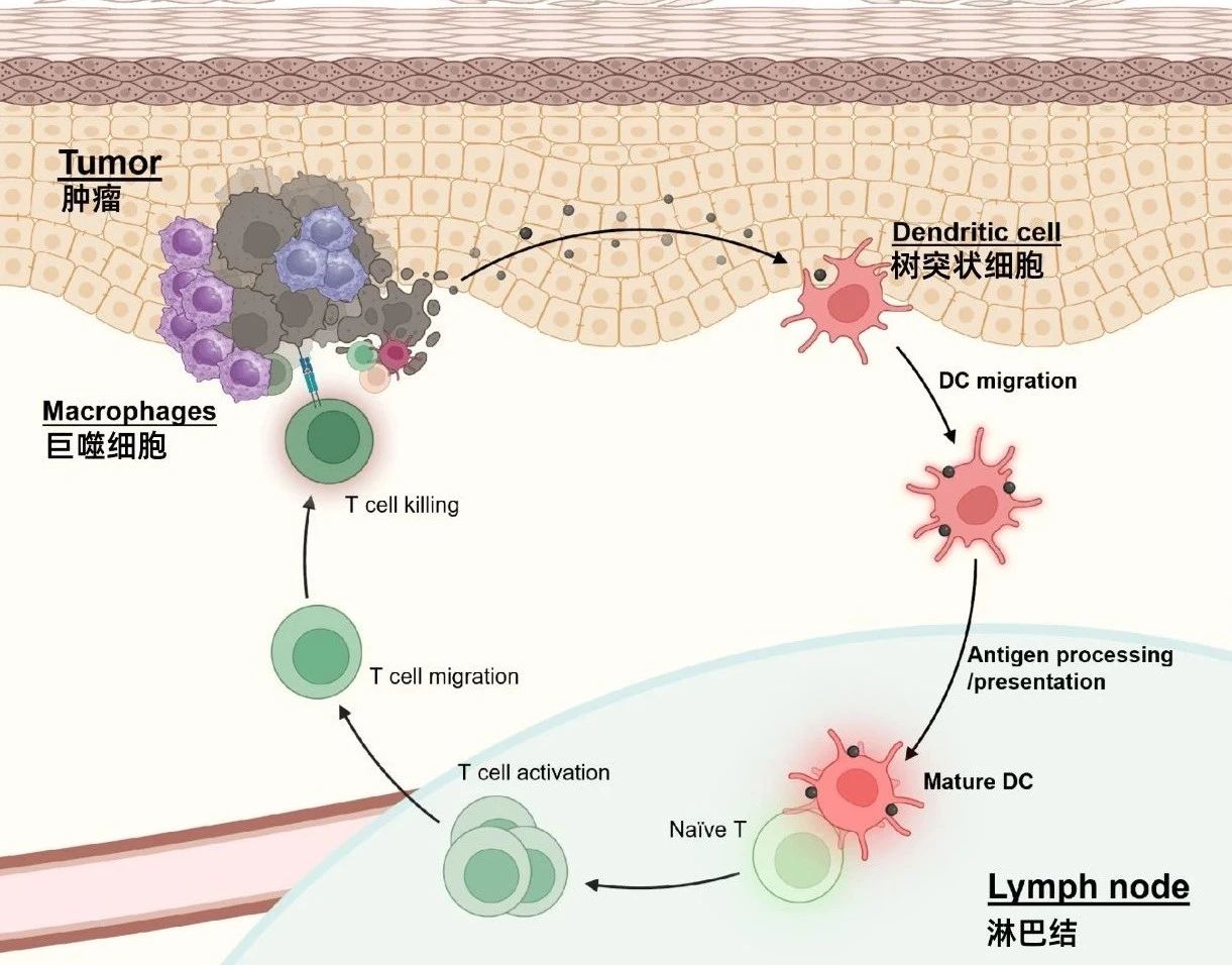 1751263720830357.jpg 1-3.jpg