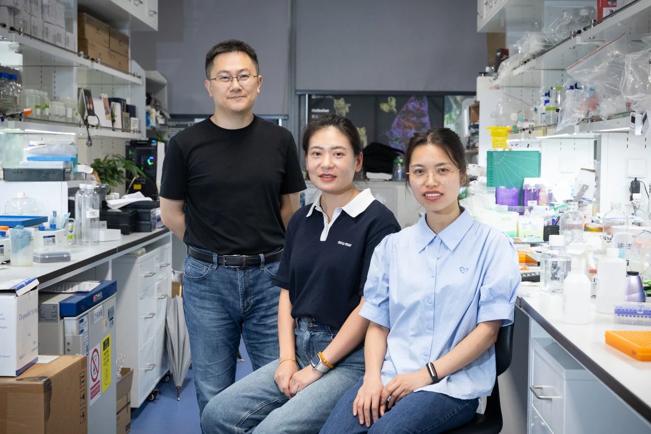 1751263733260907.jpg 1-4.jpg