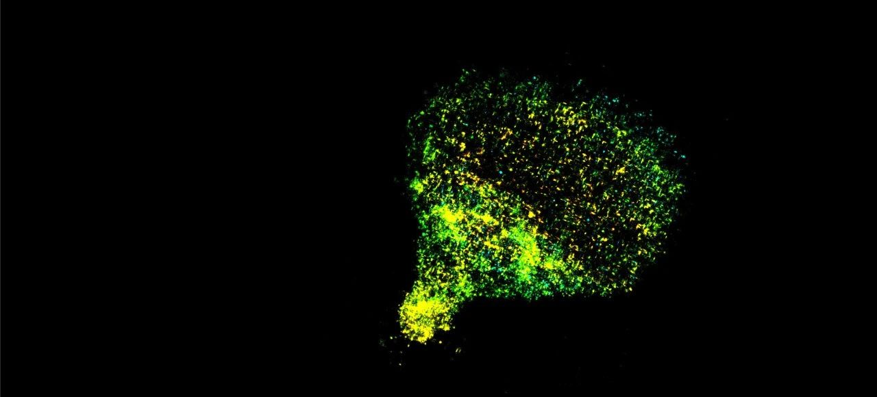 1751263745168865.jpg 1-5.jpg