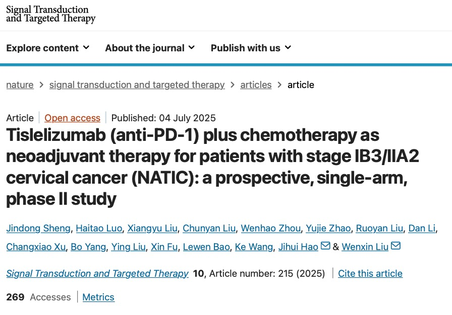 1752486421657111.png 1-1.png