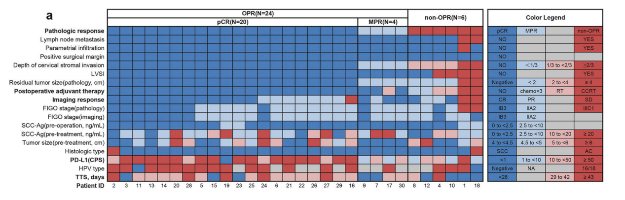 1752486742582604.png 1-2.png