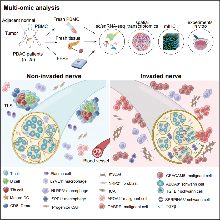 1752830641996260.png 2-2.png