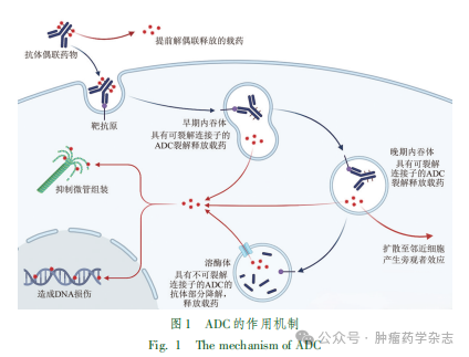 1753063022870460.png 1-2.png